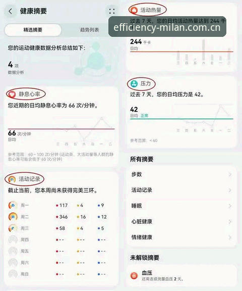 米兰应用95RV中国版 揭秘米兰应用95RV中国版:一个技术评测员的实测手记,效率尺度的真实校准