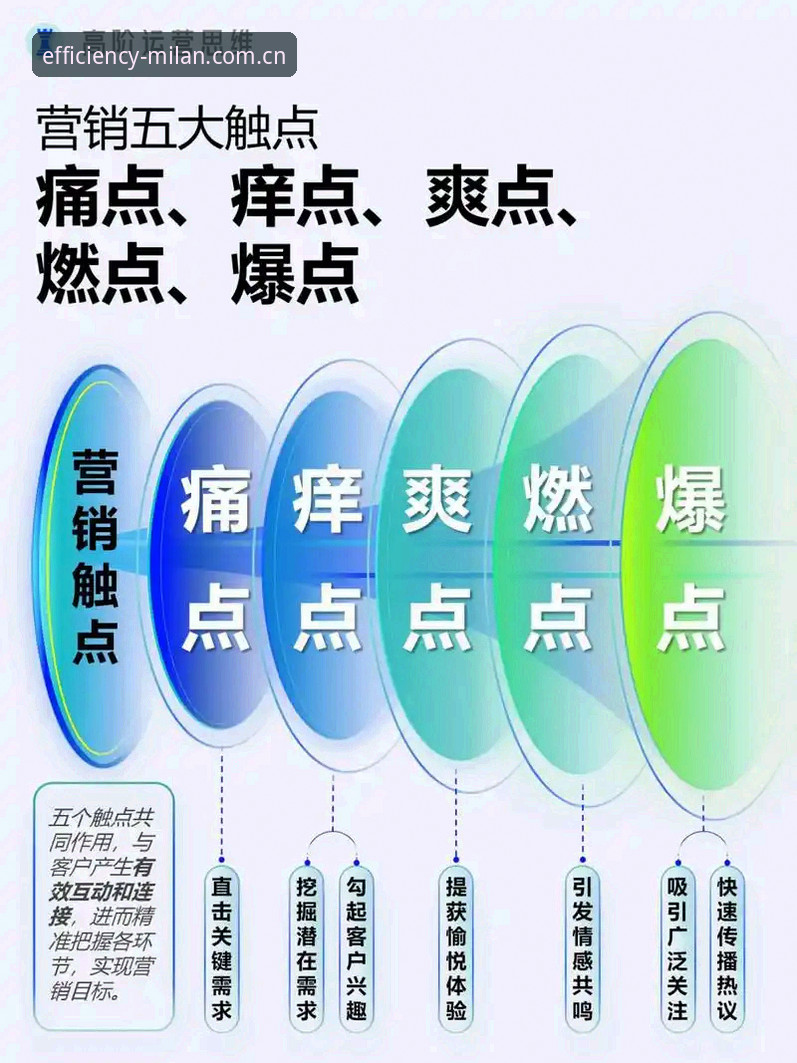 效率尺度rv登录下载常见问题 效率尺度rv登录下载常见问题深度分析:老用户视角下的五大核心痛点与解决方案